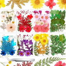 109 Pieces Dried Pressed Flowers for Resin, Real Pressed Blooms Leaves Mixed Var