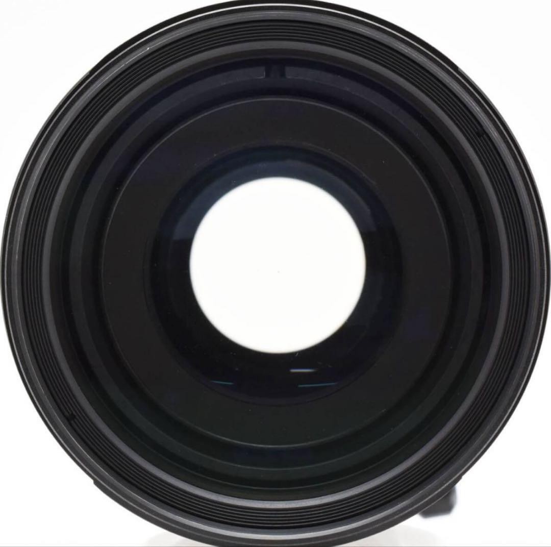 TAMRON AF 200-400mm F5.6ニコン用 Tamron 200-400mm f5.6 LD Lens for Nikon AF | Blue Moon Camera