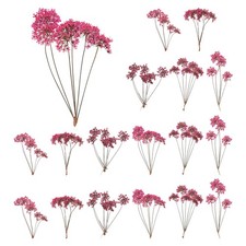 18 Pcs Lace Natural Real Pressed Dried Flower for Art Craft DIY, Rose Red