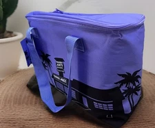 Trader Joe's Large Insulated Reusable Tote Shopping Bag Lavender Purple