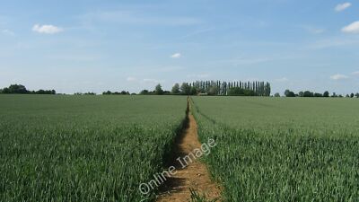 Foto 12x8 Upper Harveys vom Essex Way Stagden Cross Blick auf Fußweg c2009