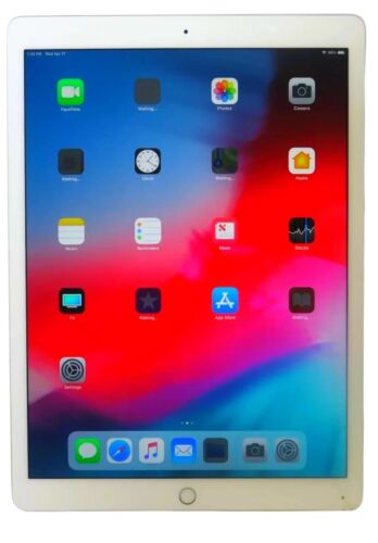  Apple iPad Pro 1re génération A1584 32 Go Wi-Fi 12,9 pouces ML0G2LL/A - Lire - Photo 1/7