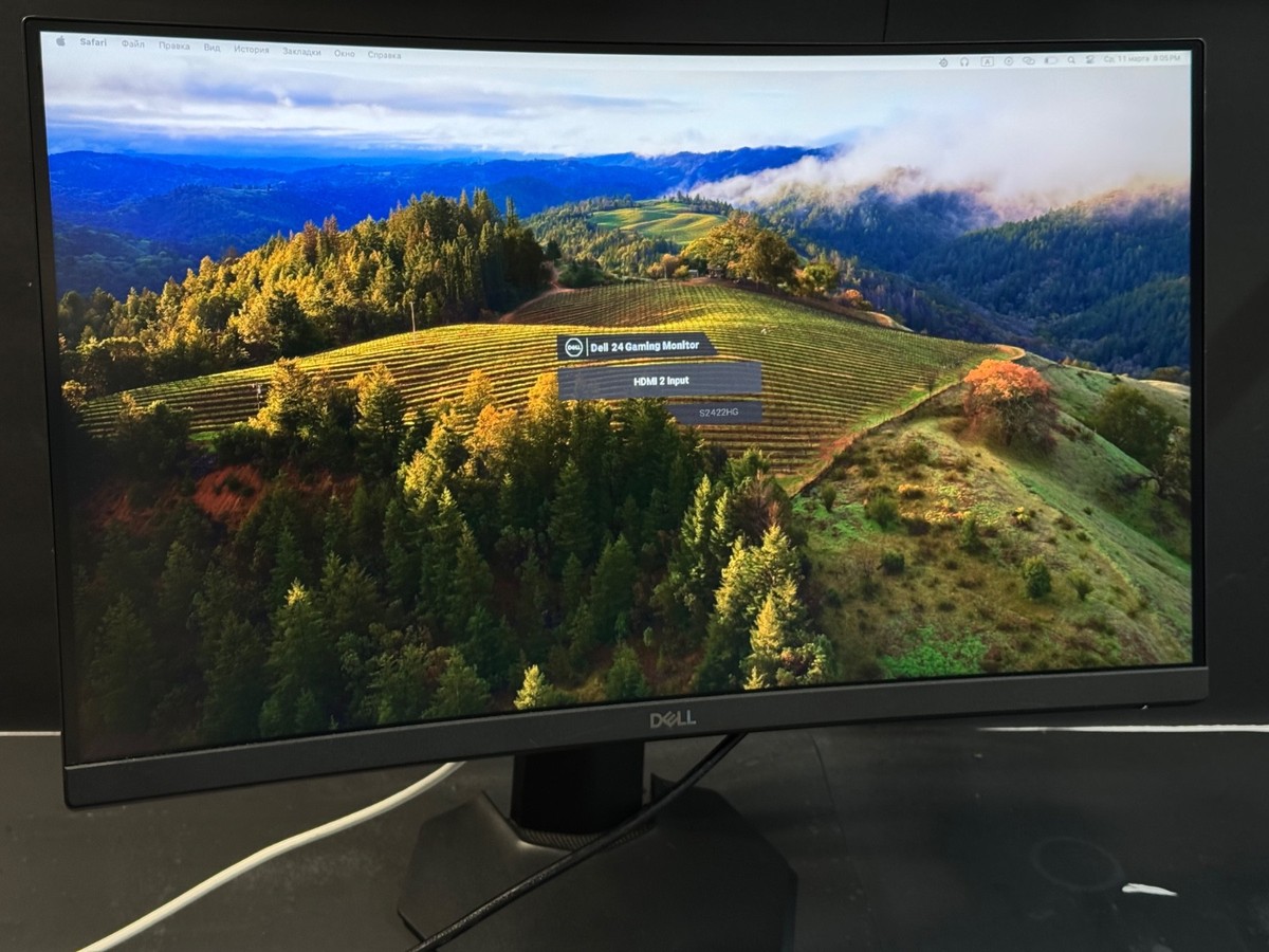 Dell S2422HG 24