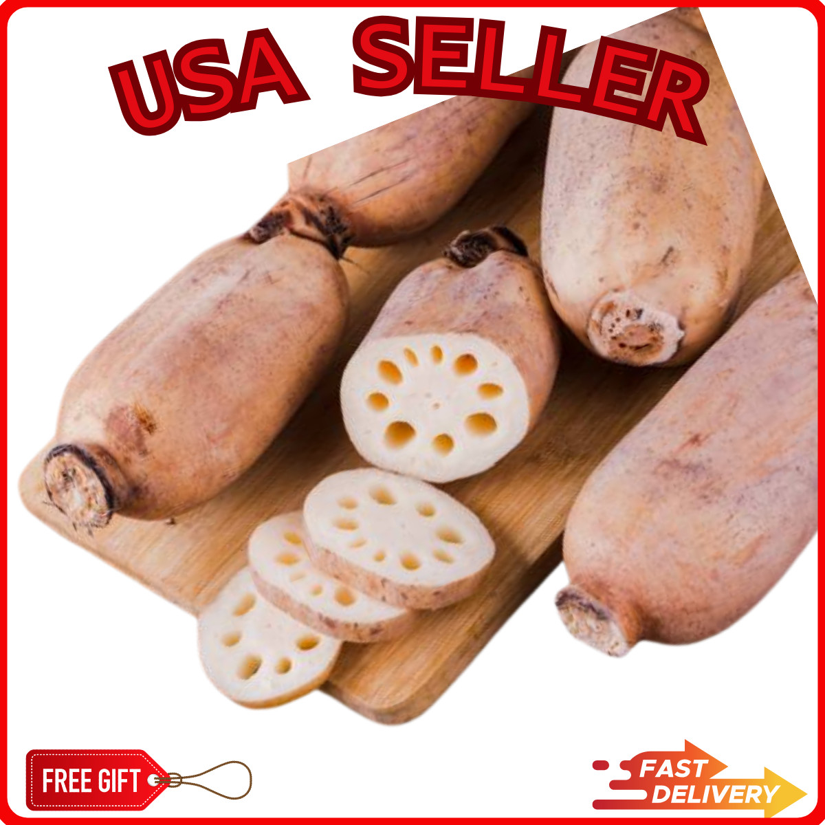 1.5 Lbs Fresh Lotus Root Whole Unrooted Fresh Actual Root **USA SELLER**