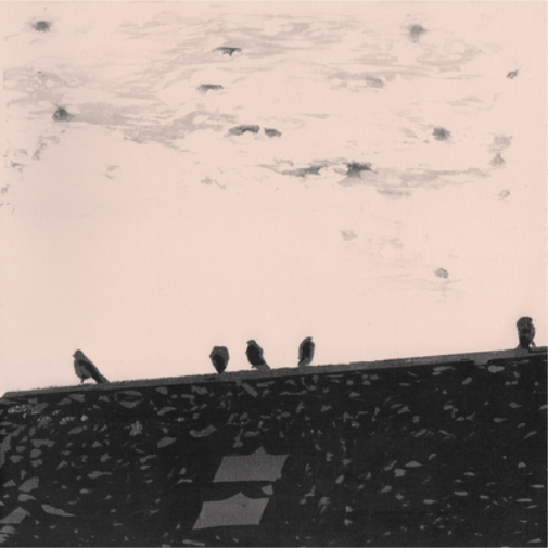 Stuart A. Staples Arrhythmia (CD) Album