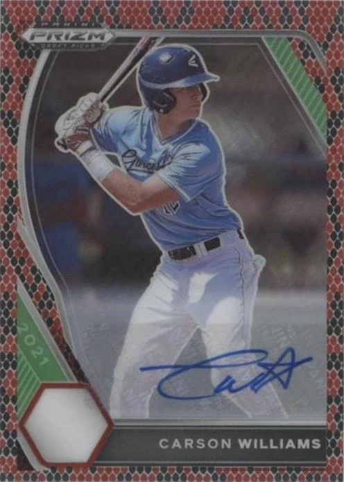 Snakeskin Prizm Autographs