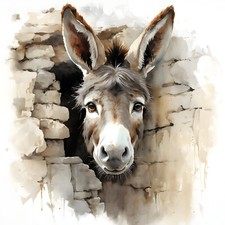 Wandbild Neugieriger Esel Steinmauer Deko Bild Tiere Wandfliese Geschenkidee