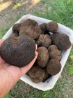 Foto 4 di 6