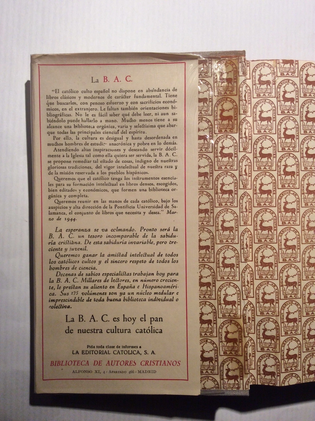 Picture 4 of 9