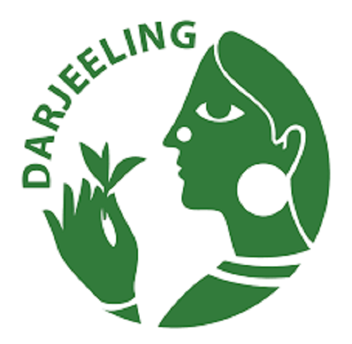 Darjeeling Organic Tea (AUTUMN FLUSH 2024) GLENBURN SFTGFOP I CLONAL SPL - Picture 2 of 3