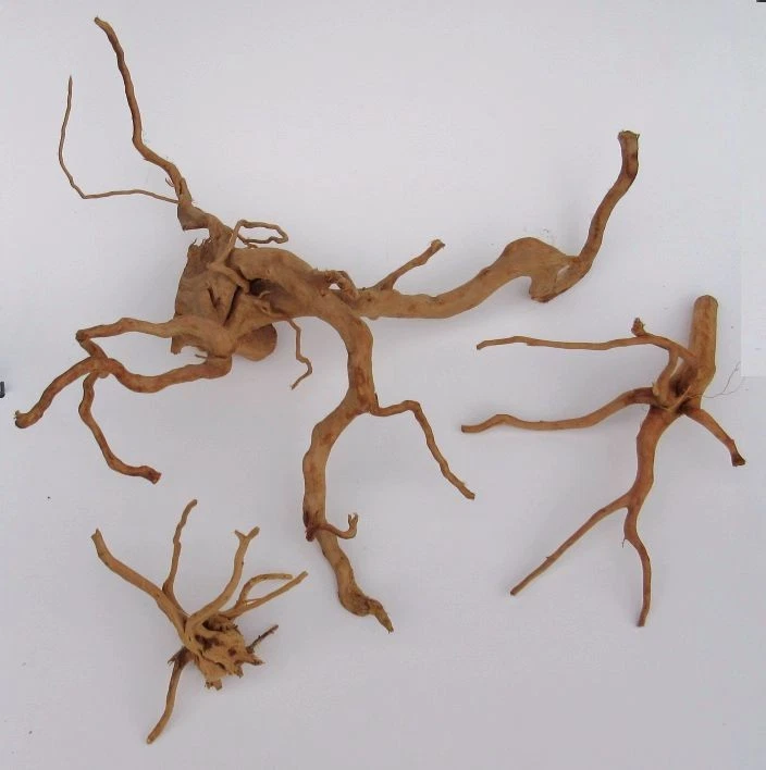 Spiderwood M 20-30cm - Fingerwood Wurzel Aquarium Terrarium Aquascape Hardscape