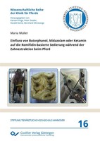 Einfluss Von Butorphanol, Midazolam Oder Ketamin Auf Die Romifidin-Basierte Sedi