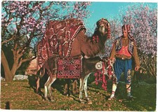 Turkey Alanya Man in Traditional Dress Leads Decorated Camel & Donkey Chrome PC