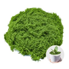 10.6 oz Fake Green Moss Craft Decorative Artificial Faux Table Centerpiece