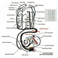 4l80e Standalone Wiring Harness For 1999-2006 Gm Vortec 4.8l 5.3l 6.0l 4l80e Standalone Wiring Harness For 1999-2006 Gm Vortec 4.8l 5.3l 6.0l