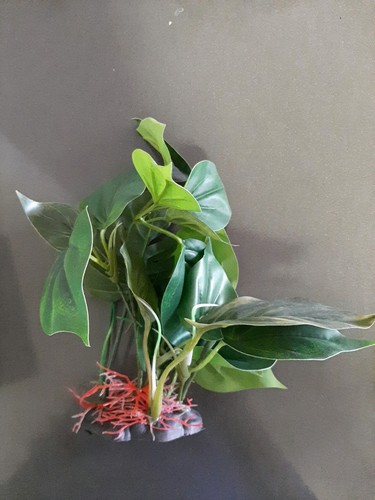 Aquarium Plant Decoration approx 10 Inches Tall - Bild 2 von 5