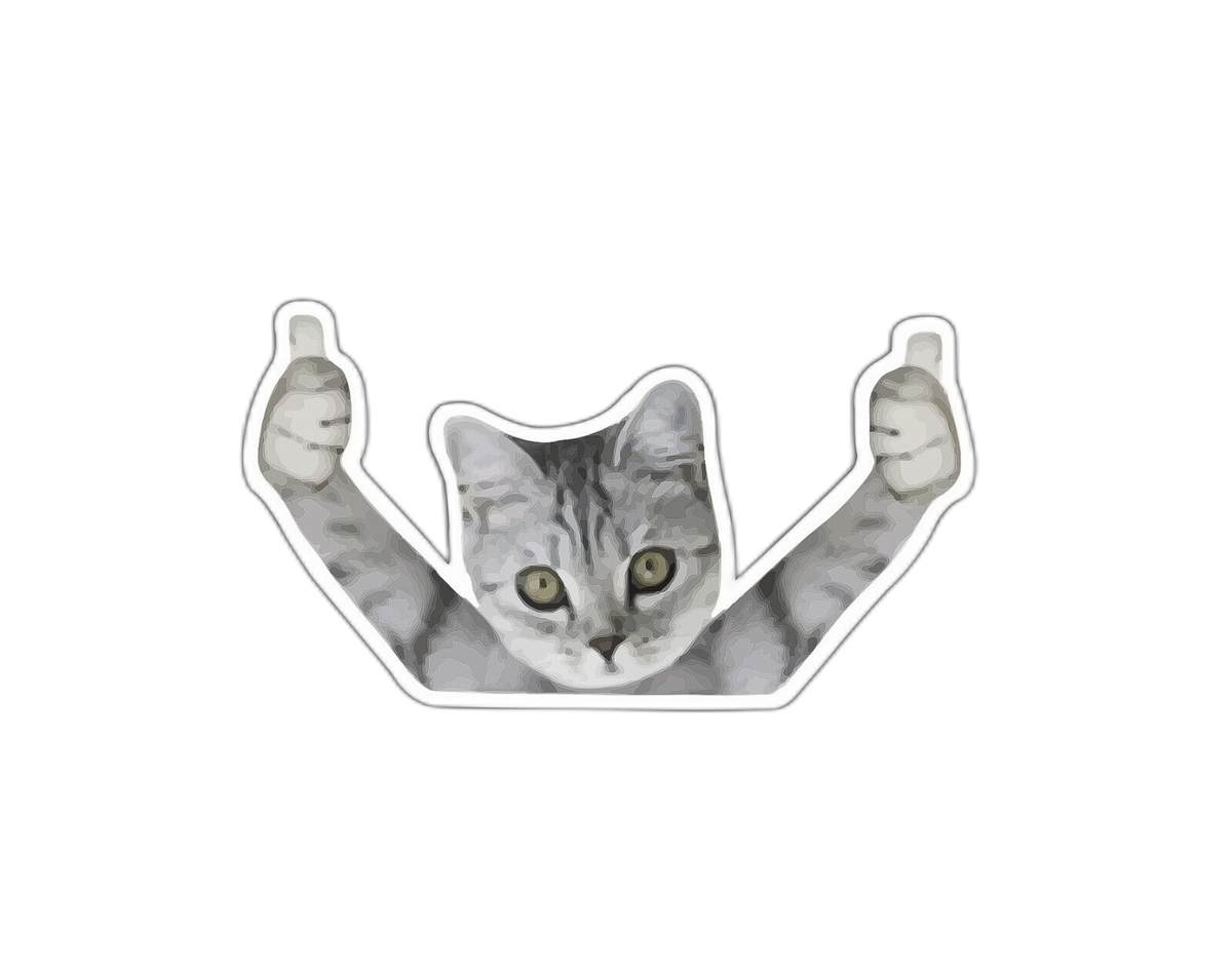 Cat Thumbs Up Sticker Decal