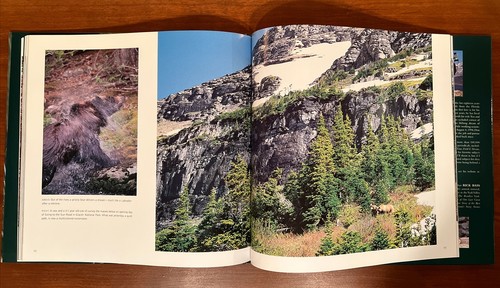 MONTANA WILDLIFE PORTFOLIO - Donald M Jones - illustrated HC BOOK w/dust jacket - Bild 7 von 9