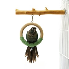 Parrot branch swing stand pole toy solid wood gnawing natural decoration