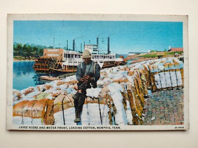 Vintage 1930s Postcard, Levee Scene And Water Front, Memphis, Tenn., US