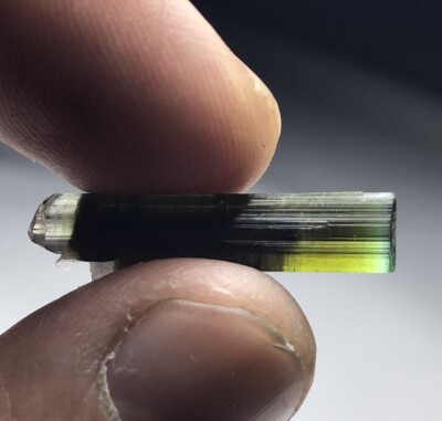 Double Terminated Multicolour Achroite Cap Elbaite Tourmaline From Astak Nala