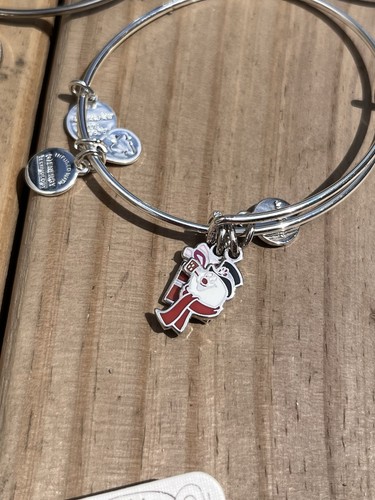 Lote de joyas. Brighton, Origami Owl y Alex y Ani. Pulseras Collar Pendientes - Imagen 9 de 13