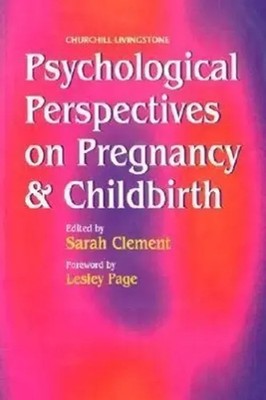 Sarah Clement | Psychological Perspectives on Pregnancy and Childbirth | Buch