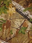 Bild 75 von 84