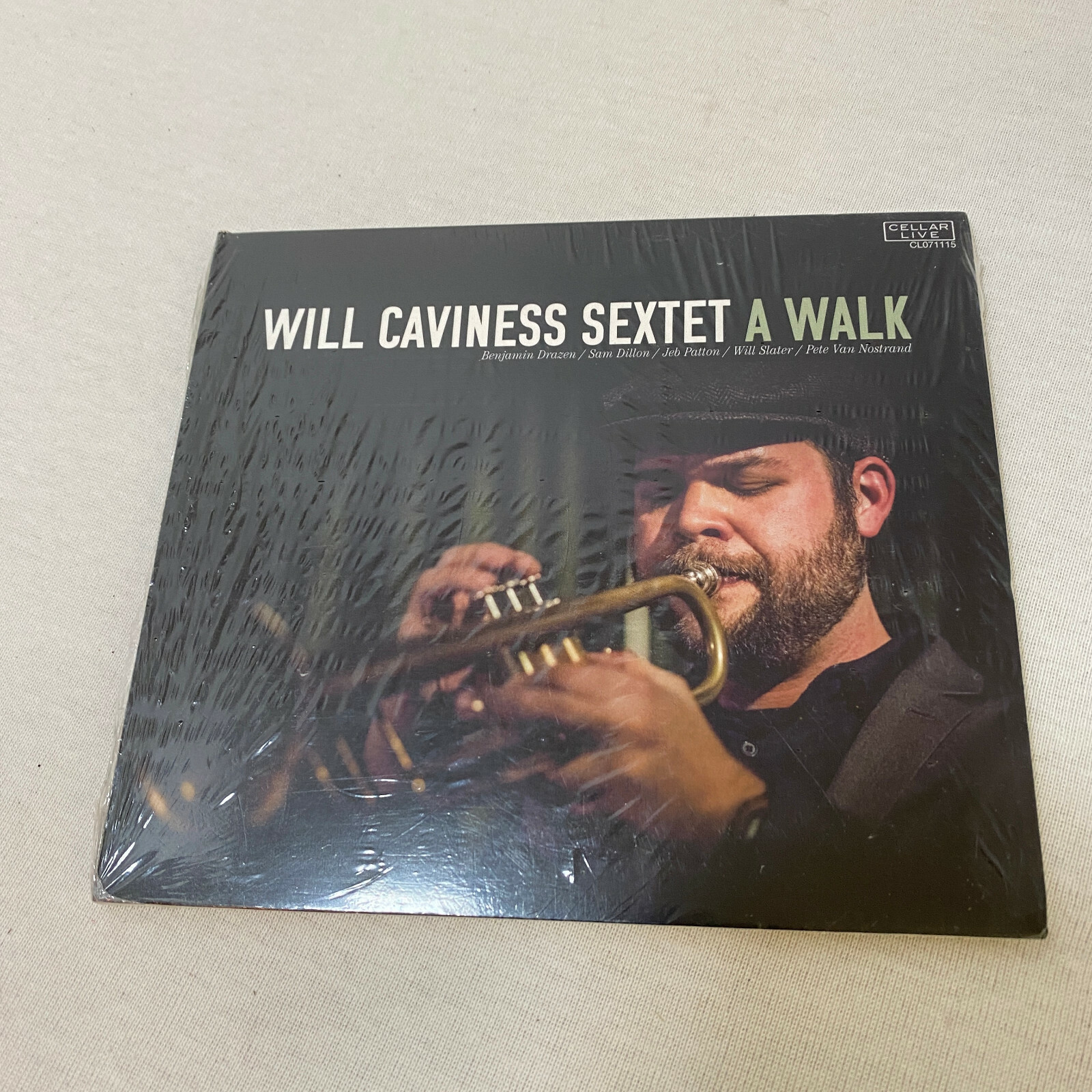 Caviness Will Walk CD 2015 Folk Americana Album