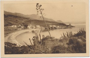 Détails Sur Cpa Corse Hotel Morganti Albo Plage