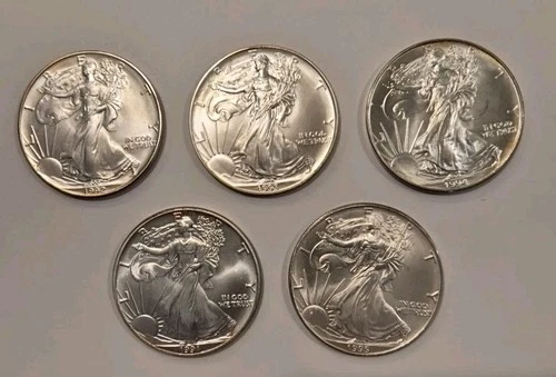 5) 1991 To 1995 American Silver Dollar Eagle Lot. Very Nice Gem Uncirculated **