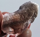 50Ct Natural Indonesian Tektite Agni Manitite Facet Rough Specimen YBLY1852 — photo 1