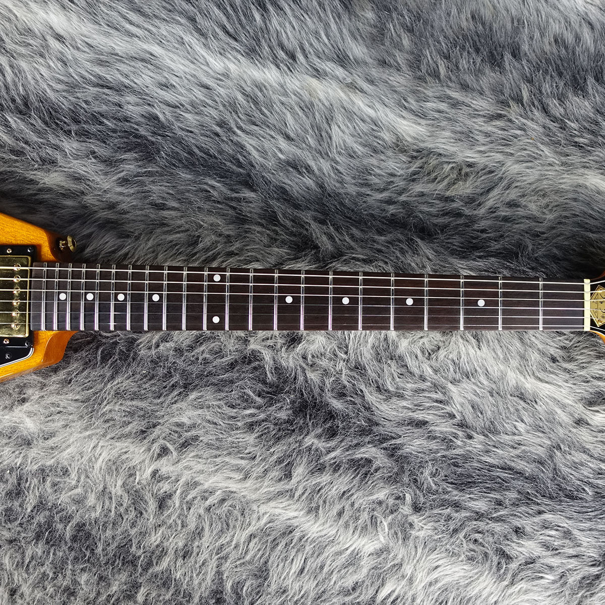 ギター Epiphone Joe Bonamassa 1958 Flying-V Epiphone Unveils Joe Bonamassa 1958 Amos Flying-V - Premier