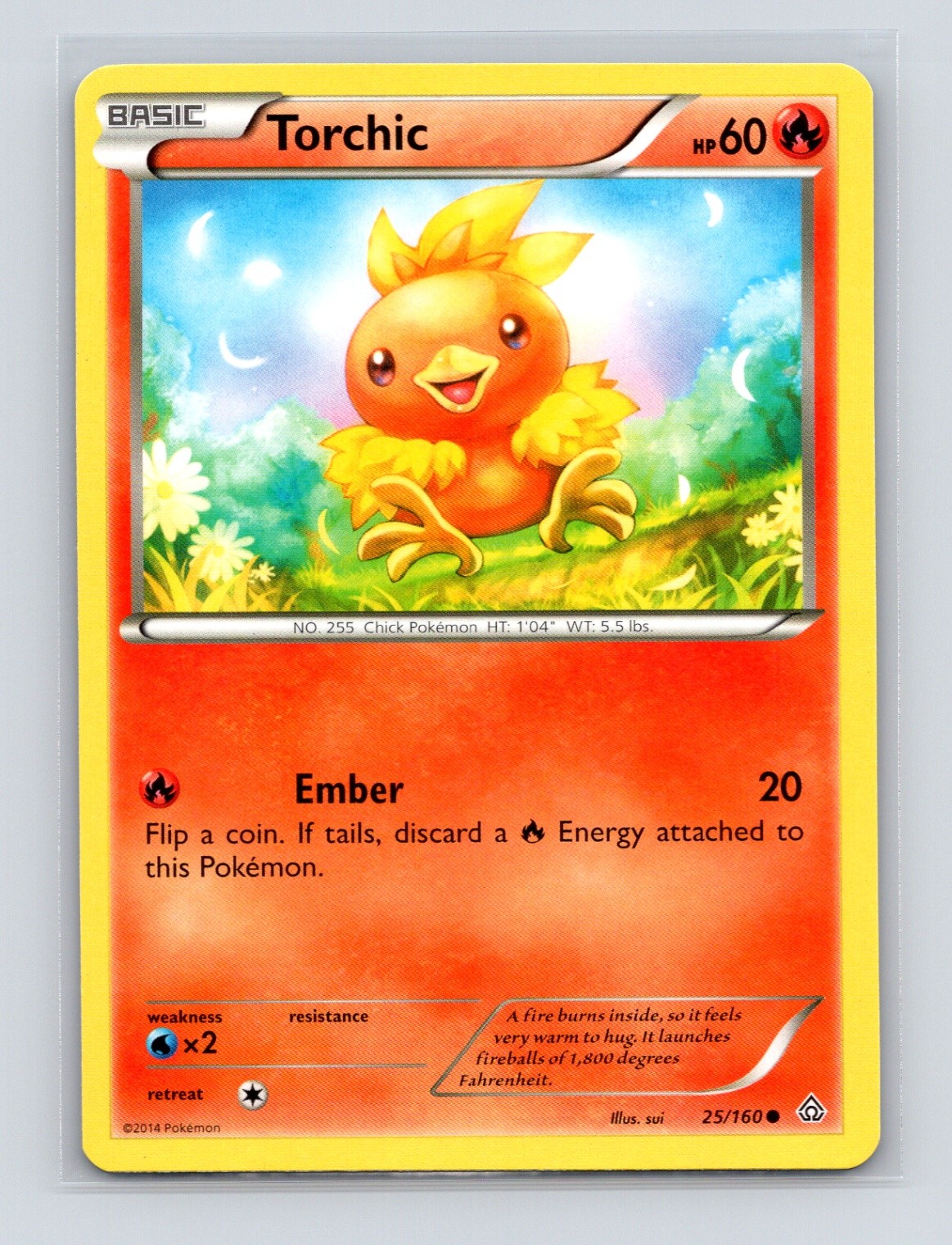Pokémon TCG Torchic 25/160 XY - Primal Clash Normal LP