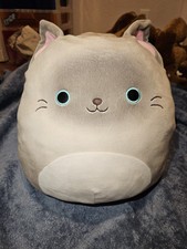 Squishmallows FELTON The SIAMESE CAT 12 Kellytoy Large Plush Cat Blue Eyes