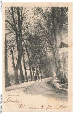 ATMP10-0811-01 - THOISSEY - Hafenaufhebung