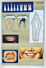 1969 SOVIET POSTER – TEETH CARE – UKRAINIAN USSR HEALTH EDUCATION ANATOMY ART