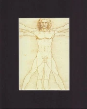 8X10" Black Matted Print Art Picture Fashion: Vitruvian Man, Da Vinci, Leonardo