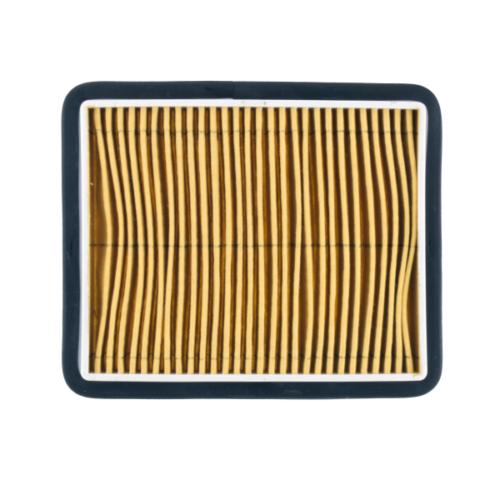 Filtro Benzina Originale LML Per STAR 125 150 151 200 4T | Ricambio Specifico