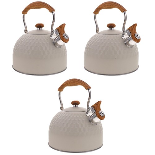 Bouilloire De Camping En Inox - Pour Faire Bouillir De L'eau Sur Le Feu - Portable Et Robuste