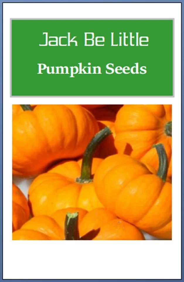 Semillas de calabaza Jack Be Little | Semillas de calabaza no transgénicas | Semillas de jardín de reliquia Foto 2 de 2