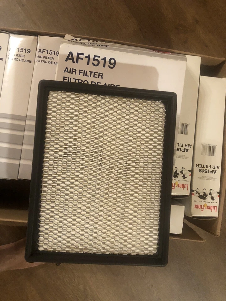 Air Filter Luber-Finer AF1519 Foto 4 de 4