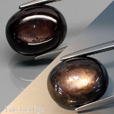 13.33Ct.Perfect Sharp 6 Rays Natural BIG Golden Black Star Sapphire Thailand