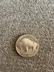 Moneda De 5centavo Bufalo 1936