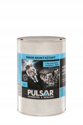 Pulsar KASMMO1P Fett 1