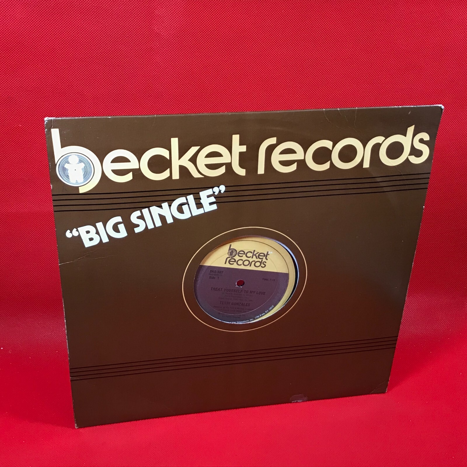 TERRI GONZALEZ Treat Yourself To My Love 1981 USA 12