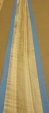 Spalted Ambrosia Wormy Maple Figured wood veneer 6" x 37" no backing 1/42" thick
