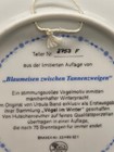 Bild 8 von 11