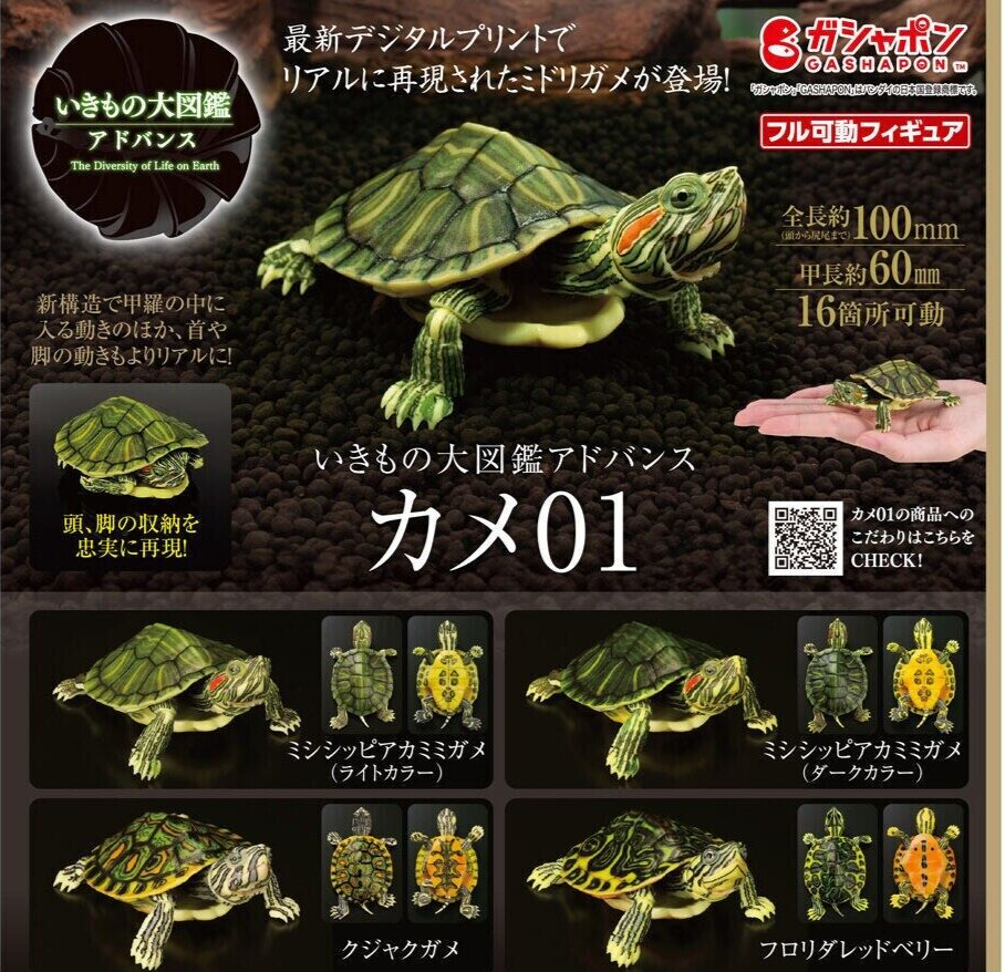The Diversity of Life on Earth Advance Turtle 01 Figure Bandai