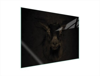 GLASSCHUTZPLATTE FÜR HERD 70x52 KOZA
